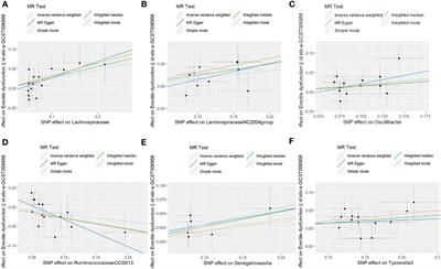 Specific gut microbiota may increase the risk of erectile dysfunction: a two-sample Mendelian randomization study